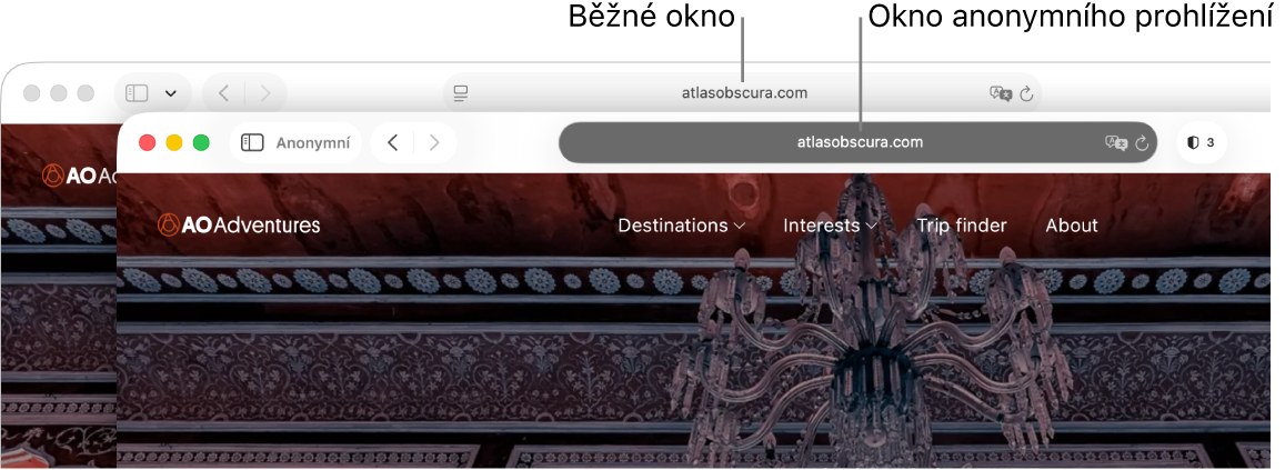 Normální okno Safari na Macu se světlým dynamickým vyhledávacím polem a anonymní okno Safari s tmavým dynamickým vyhledávacím polem