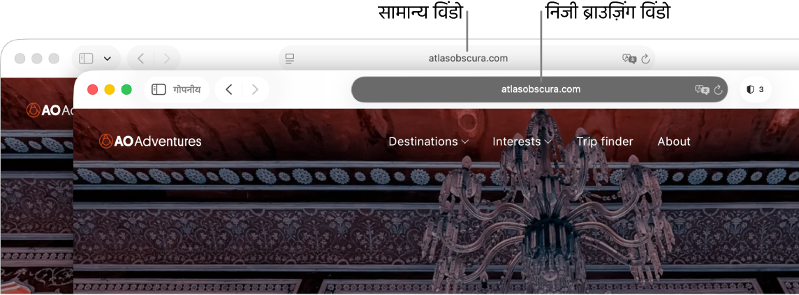 Mac पर सामान्य Safari विंडो के साथ इसका लाइट स्मार्ट खोज फ़ील्ड और गोपनीय Safari विंडो के साथ इसका डार्क स्मार्ट खोज फ़ील्ड।