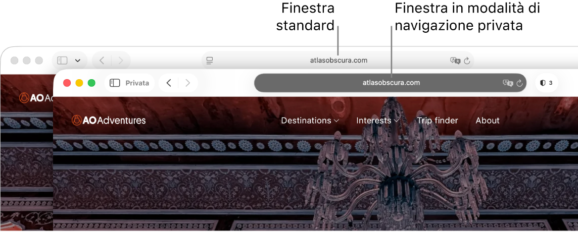 Una finestra normale di Safari su un Mac, con il campo di ricerca smart chiaro, e una finestra privata di Safari, con il campo di ricerca smart scuro.
