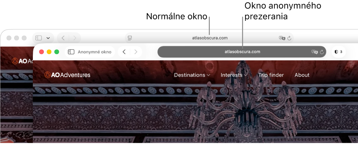 Normálne okno Safari na Macu so svetlým dynamickým vyhľadávacím poľom a anonymné okno Safari s tmavým dynamickým vyhľadávacím poľom.