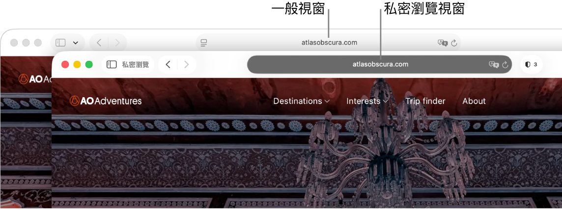 Mac 上顯示其淺色「智慧型搜尋」欄位的一般 Safari 視窗,以及顯示其深色「智慧型搜尋」欄位的私密 Safari 視窗。