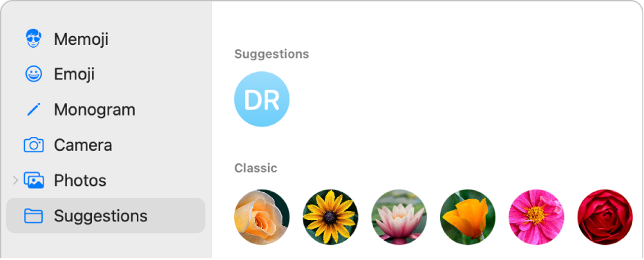 The Apple Account picture options with Suggestions selected in the sidebar and suggested pictures shown.