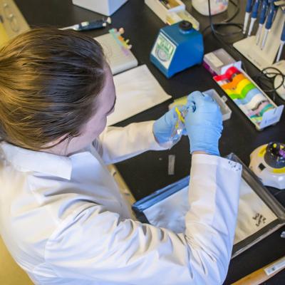 Student in working a research laboratory. 