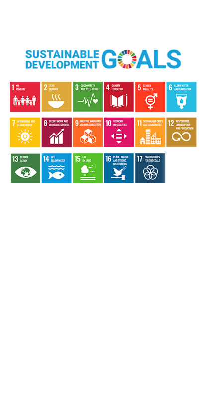 Striving Together Toward United Nations' Sustainable Development Goals