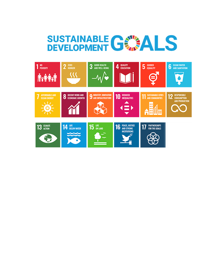 Striving Together Toward United Nations' Sustainable Development Goals