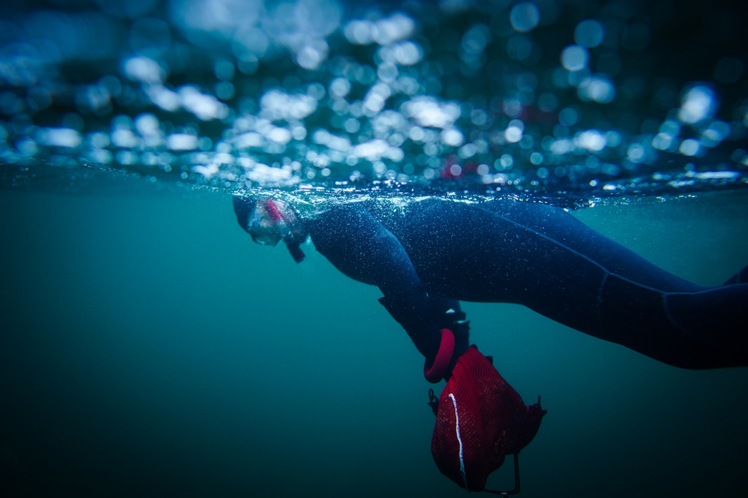 Katie Riley snorkels for abalone and other shellfish for personal use.