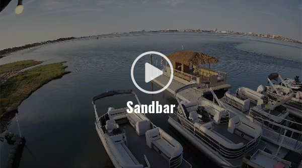 Sandbar Live Cam