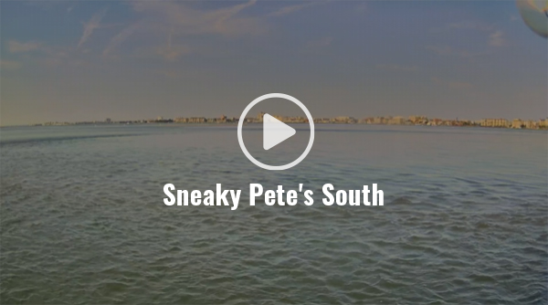 Sneaky Pete's South Live Cam