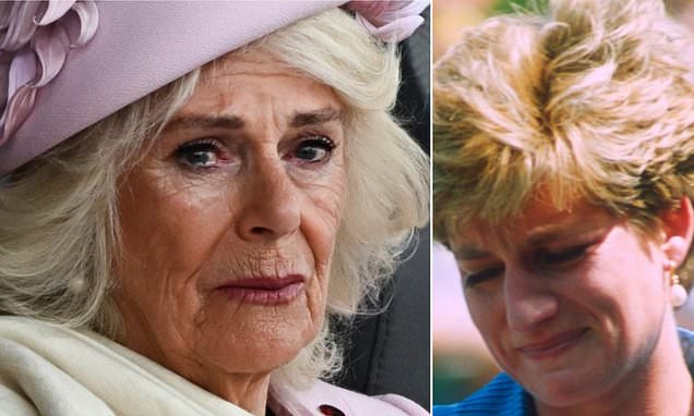 LIZ JONES: I've become a Camilla fan... because she reminds me of Diana