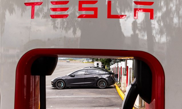 Promise of new cheaper Tesla to boost sales after EV maker sees profits plunge huge 45%