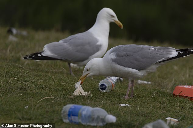 The Scottish Government says it currently has no extra money to avert strikes, which would see rubbish left uncollected for weeks