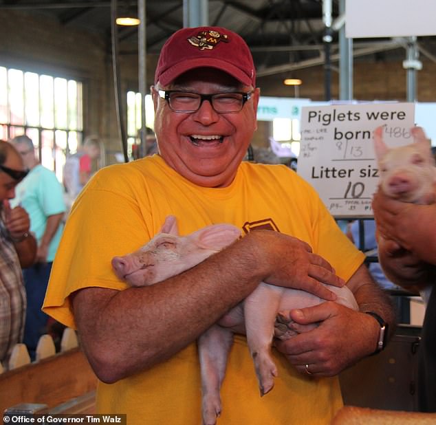 Walz poses with content newborn piglets at the Minnesota State Fair in 2019