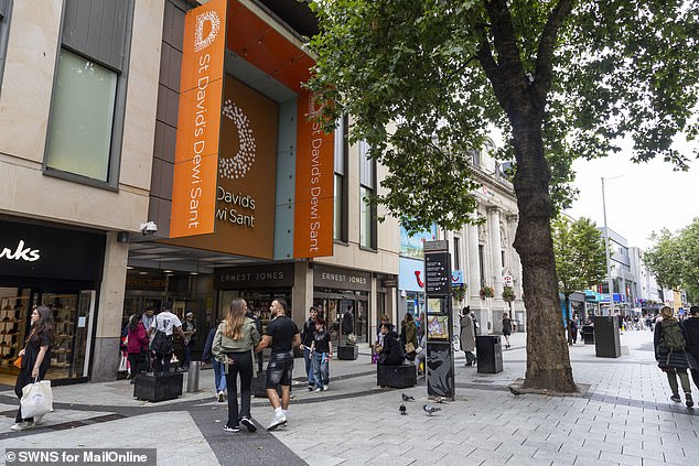 The St David's Dewi Sant shopping centre (pictured) which is one of the biggest shopping centres in Cardiff