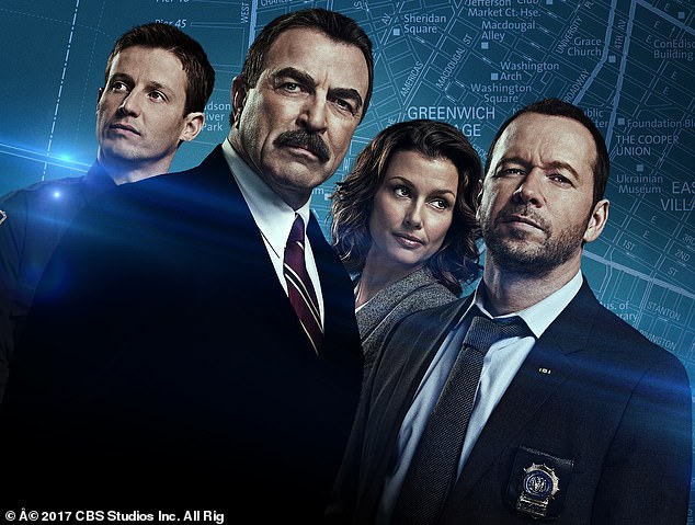 Tom and Donnie are pictured in a poster for the show with Will Estes (left) and Bridget Moynahan (second from right), all playing members of the fictional Reagan family