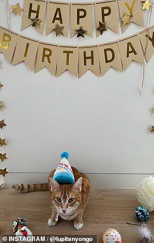 Yoyo posed with his birthday hat and banner