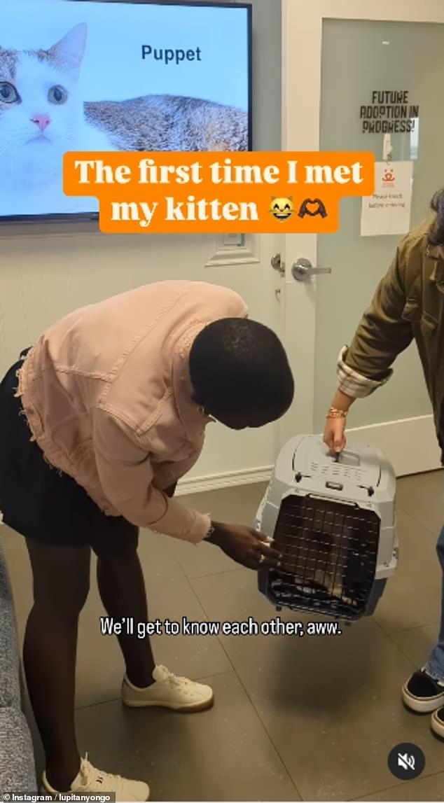 Last month the Oscar winner paid tribute to Yoyo on National Kitten Day, sharing a sweet video montage of him