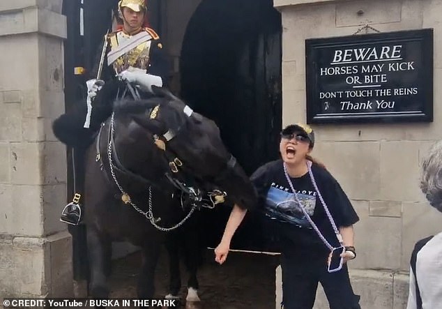 Around the same time that Scheana was bitten, another tourist had a much more severe run-in with a King's Guard horse in July. The horse chomped down on her arm, eliciting a scream