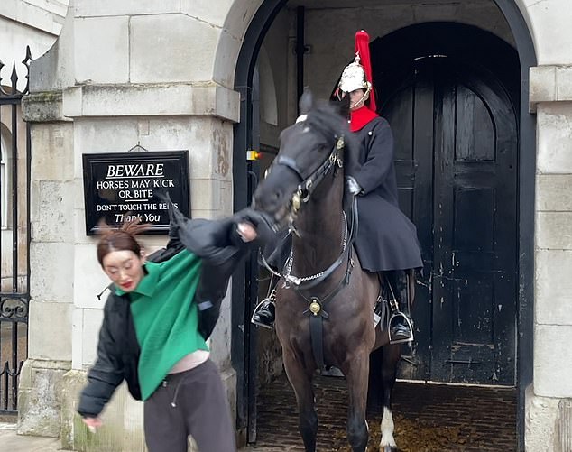 In one scary incident, a woman disregarded the sign and touched the horse's face. It then bit at her arm ¿ which was encased in a black puffer jacket sleeve ¿ and yanked her back and forth before finally releasing her