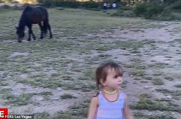 The girl's mother, Haley Wilkey, said she stopped recording to tell her son to slow down when the wild Mustang kicked three-year-old Olivia