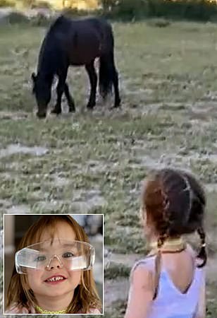 Chilling video shows wild horse in meadow with girl, 3, moments before horror unfolded at