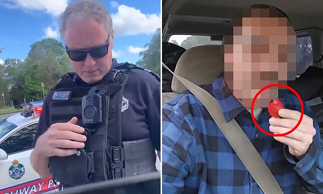 Aussie driver is slammed for appalling act after he was pulled over by a cop - as shocking