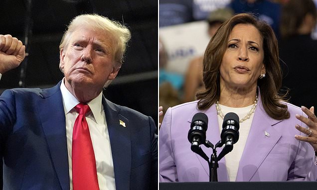 Trump leads Harris by two points in Daily Mail poll... as voters reveal their biggest