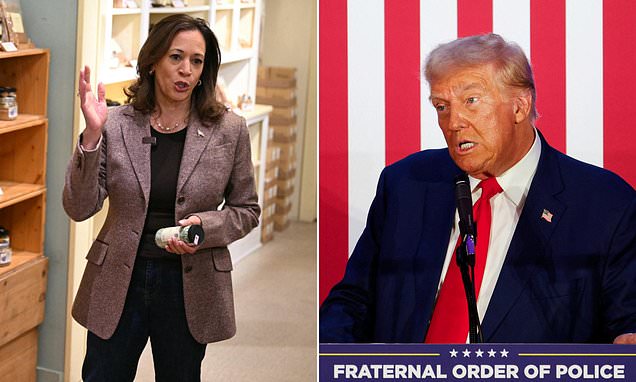 Inside Kamala Harris' plan to win the presidential debate with Donald Trump