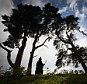 A witch silhouetted against the sky