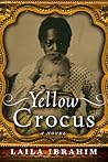 Yellow Crocus by Laila Ibrahim Yellow Crocus by Laila Ibrahim