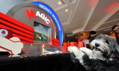 Hugo, a bearded Collie, in the Metro Bank branch in Holborn, central London, when it first opened.