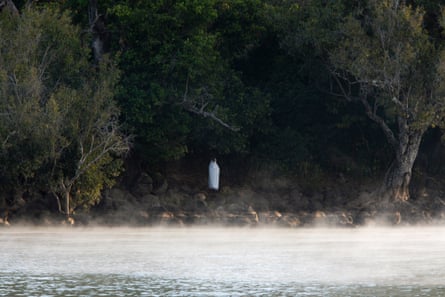 A full tree canopy on the Zege peninsula resulting from the presence of churches and monasteries at the sacred site.