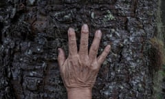 Detail of the hand on the trunk of a tree