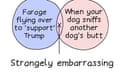 A Venn diagram with ‘Farage flying over to ‘support’ Trump’ in one circle, ‘When your dog sniffs another dog’s butt’ in the other, and the caption: ‘Strangely embarrassing’