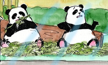 240618 Panda diplomacy thumbnail