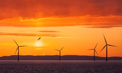 Sunrise over Walney Offshore Wind Farm off the Cumbrian Coast in the UK