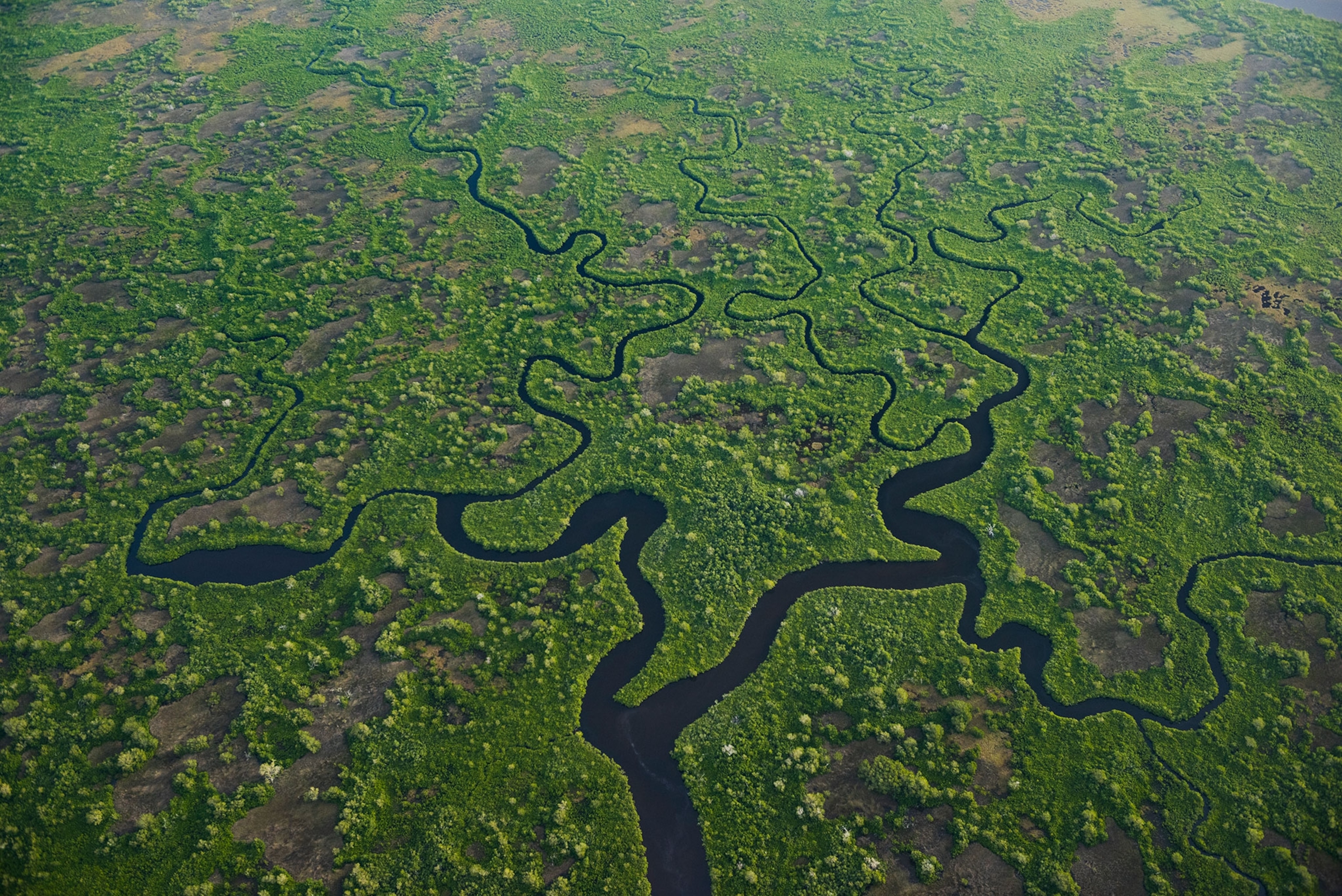 the everglades from above