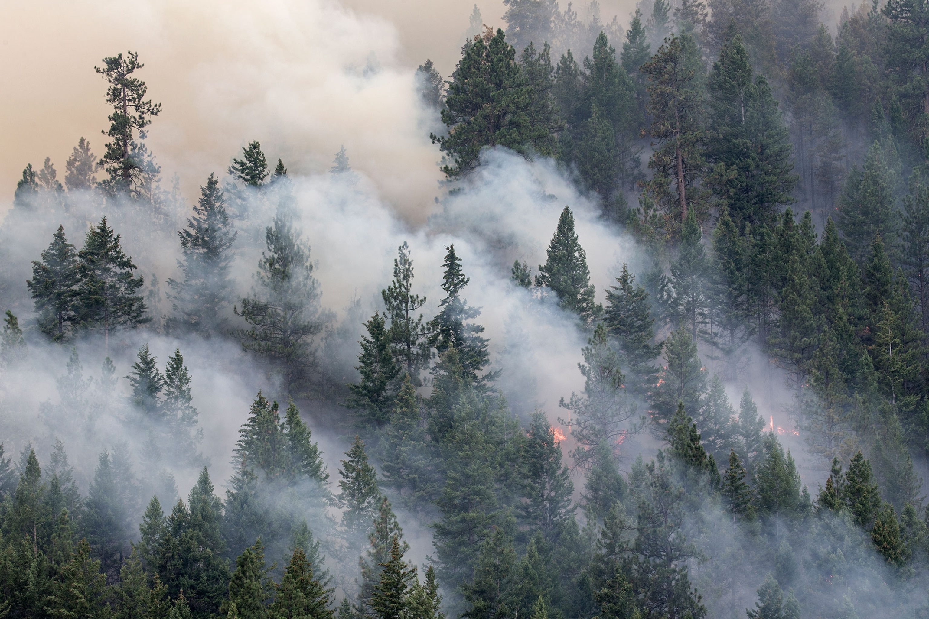 wildfire in Washington