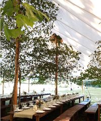 Trees for posts in a Sperry tent.