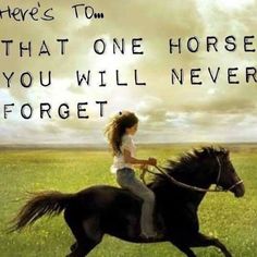 Horse Quotes, Cai Sălbatici, Riding Quotes, Last Ride, Horse Names, Wallpaper Tumblr, All The Pretty Horses