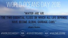 an ocean with the words world oceans day on it