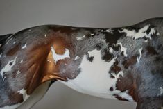 a brown and white horse with spots on it's back