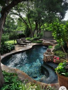 an outdoor swimming pool surrounded by greenery and trees in the middle of a yard