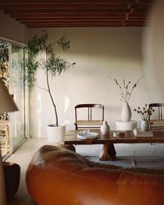 a living room filled with furniture next to a tall plant on top of a wooden table