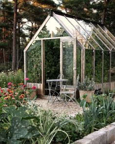 a garden with lots of flowers and plants in it