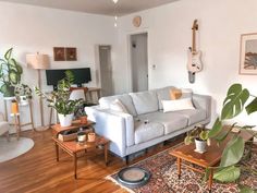 a living room filled with furniture and lots of plants on top of a hard wood floor