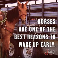 a horse standing next to a trailer with the words horses are one of the best reasons to wake up early