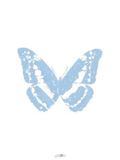 a blue butterfly on a white background