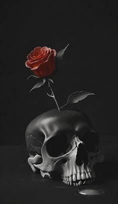 a black and white photo with a red rose in the skull's head, on a dark background