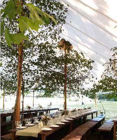 an outdoor dining area with wooden benches and tables set up for dinner under the shade of trees