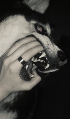 a person is petting a dog with its mouth open